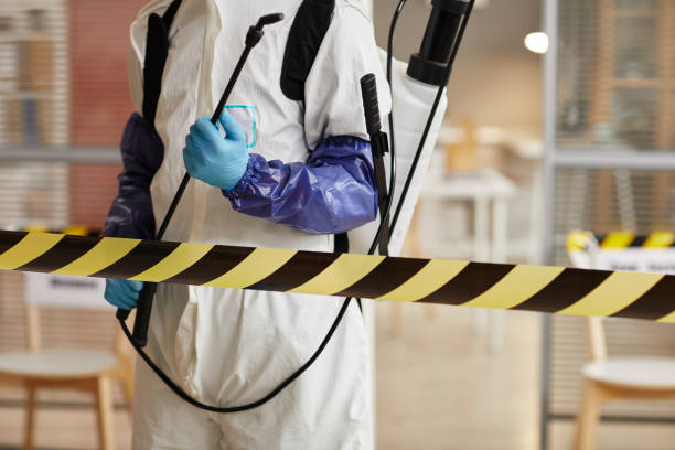 Professional Hoarding Cleanup technician working in Lewiston, CA